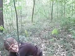 Wife pees in a catch woods.mp4