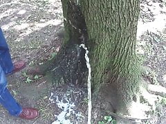 Twosome friends pissing together on a tree